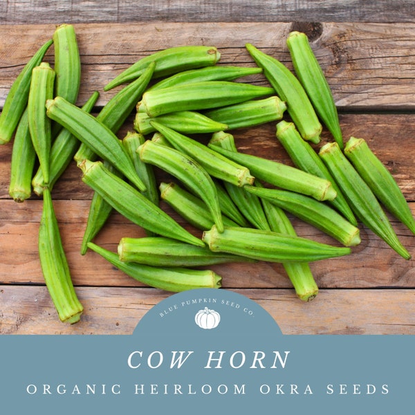 Cow Horn Okra Seeds - Certified Organic by OTCO - Grow Okra Perfect for Gumbos and Pickling!