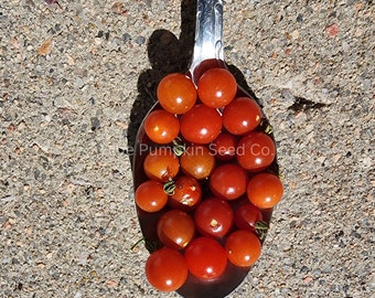 Puede incluir: Una cuchara plateada llena de pequeños tomates cherry redondos, rojos y naranjas. Los tomates brillan a la luz del sol. La cuchara descansa sobre una superficie gris texturizada. El texto "The Pumpkin Seed Co." es visible en la cuchara.