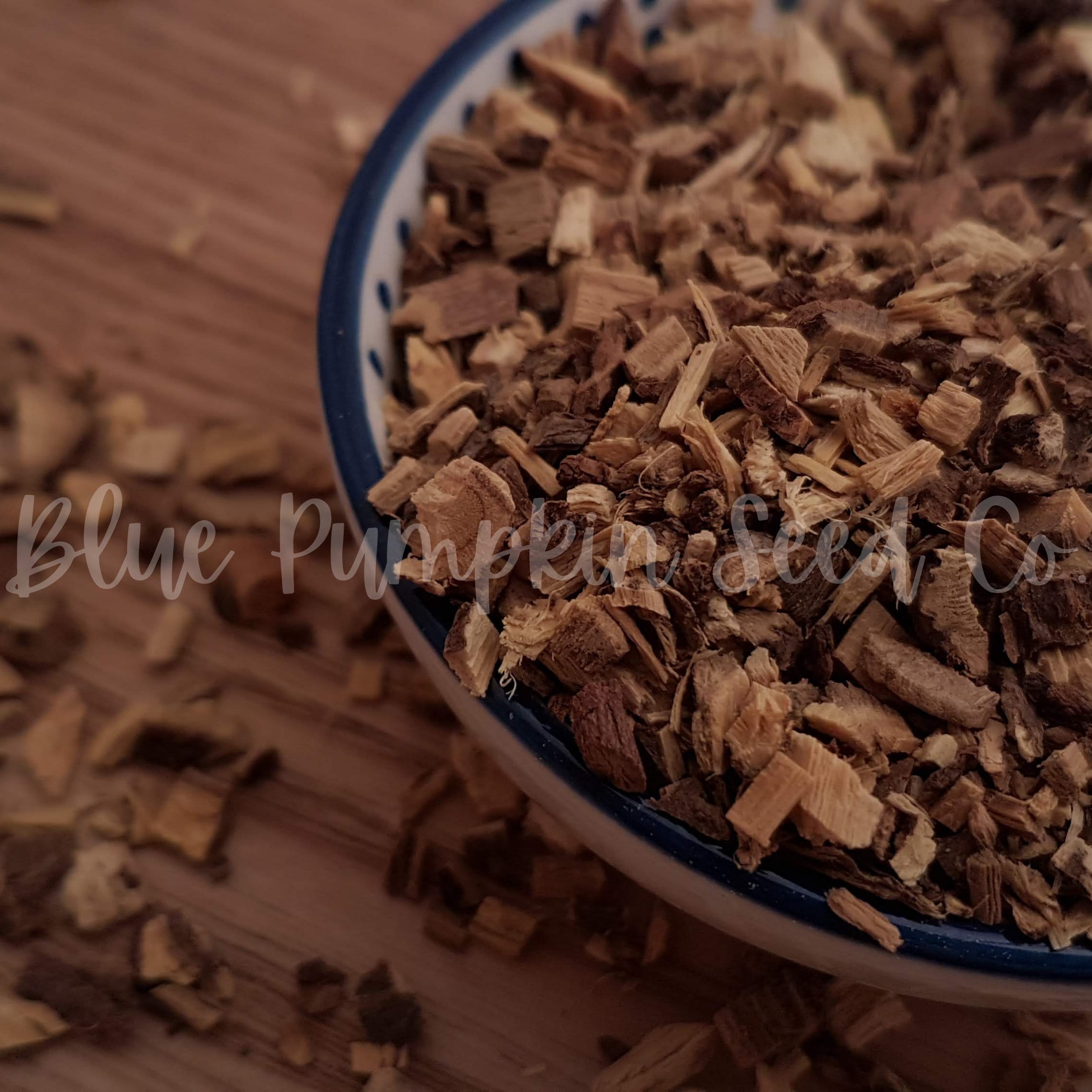 Licorice seed Licorice plant liquorice plant silver bush Etsy