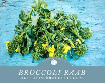 May include: A bunch of broccoli raab, also known as rapini, with yellow flowers, on a blue wooden background. The text "Broccoli Raab Heirloom Broccoli Seeds" is below the image.