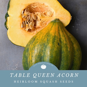 May include: A halved acorn squash with seeds visible inside, next to a whole acorn squash with a green and yellow striped pattern. The text "TABLE QUEEN ACORN HEIRLOOM SQUASH SEEDS" is displayed below the squash. A logo for Blue Pumpkin Seed Co. is visible in the lower left corner.