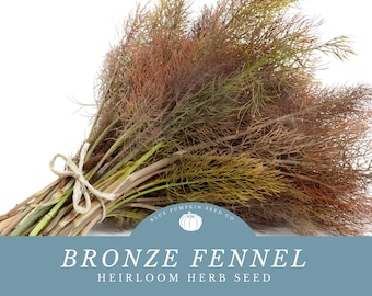 Op de afbeelding: Een bos gedroogde bronzen venkelstengels die met touw aan elkaar zijn gebonden. De stengels zijn diep groen met roodbruine toppen. De tekst "BRONZE FENNEL HEIRLOOM HERB SEED" is onder de afbeelding gedrukt.