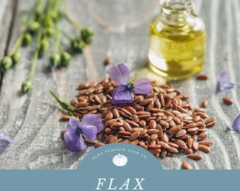 Flaxseed: Linseed, Linum, Alasi, Aliviraaii, Echter Lein, Keten, Lin Textile, Flachssamen, common flax, usitatissimum,