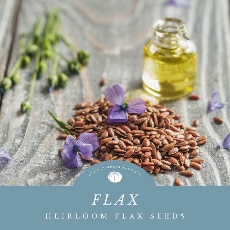 A pile of flax seeds with a couple purple flax flowers on top.