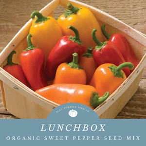 May include: A wooden basket filled with a variety of colorful sweet peppers. The peppers range in color from bright red and orange to sunny yellow. The text "LUNCHBOX ORGANIC SWEET PEPPER SEED MIX" is displayed below.