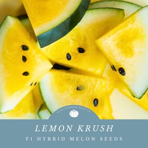 May include: Close-up of yellow watermelon slices with black seeds. The slices are arranged in a pile, with the rind visible on the edges. The image is labeled "Lemon Krush F1 Hybrid Melon Seeds" with a logo for Blue Pumpkin Seed Co.