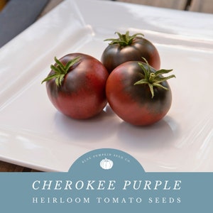 Cherokee Purple Tomato Seeds - Perfect for Sandwiches and Container Gardening -Grow Vibrant Heirloom Tomatoes