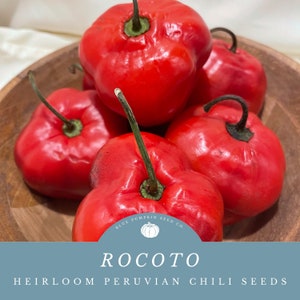 Peruvian Rocoto Chili Seeds - Spicy Delights from the Andes-Ignite Your Senses-Grow Authentic Peruvian Chilis!