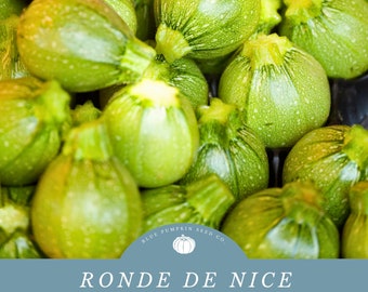 Ronde De Nice squash (French Heirloom) seeds: Round zucchini, Emerald Globe Squash, Eight Ball Zucchini, French Zucchini, heirloom seeds