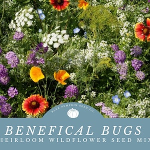 May include: A close-up of a wildflower seed mix featuring a range of colours, including purple, yellow, orange, red, and white. The seed mix is labelled "Beneficial Bugs Heirloom Wildflower Seed Mix" and is sold by Blue Pumpkin Seed Co.