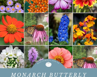Monarch Butterly Wildflower Seed Mix: A Mix Of Wildflowers To Aid Monarch Butterflies In Their Various Growth Stages