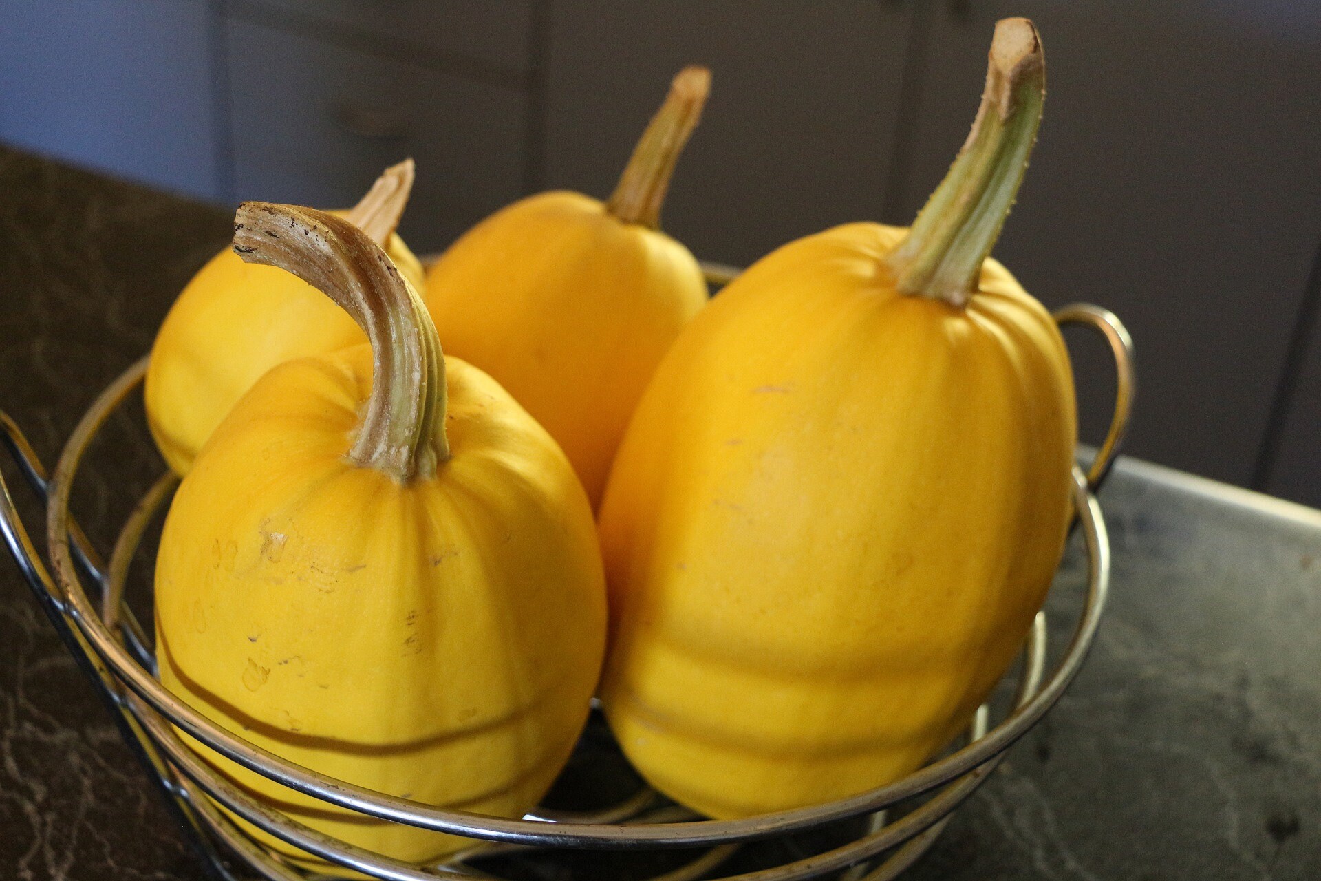 Spaghetti Squash Seeds Vegetable Spaghetti Yellow Squash Etsy