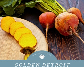 Golden Detroit Beet Seeds: Add a Golden Touch to Your Garden -Grow Golden Heirloom Beets