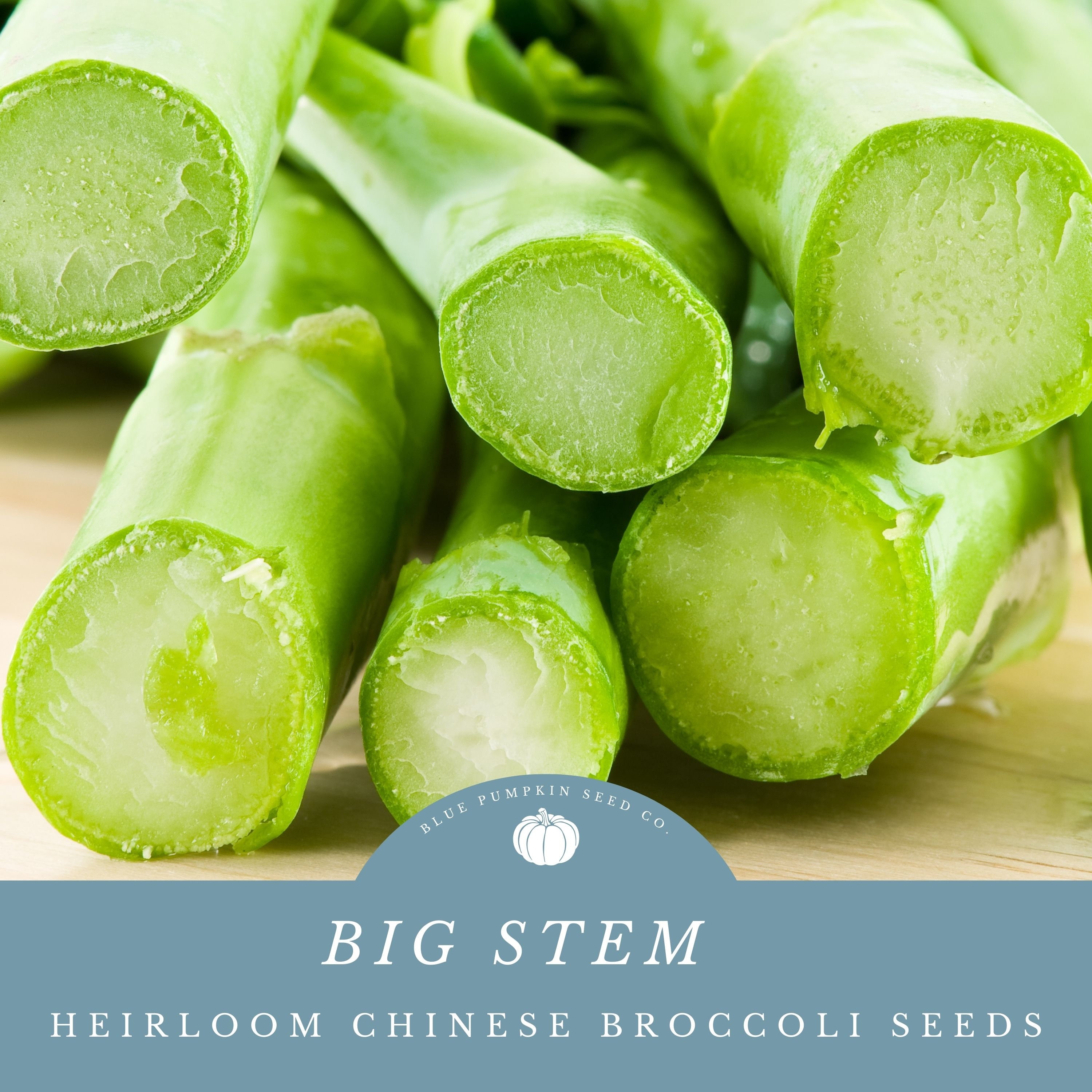Big Stem Chinese Broccoli Seeds: Thick Juicy Stalks-robust and Crispy ...