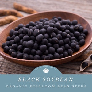 May include: A wooden bowl filled with black soybean seeds. The bowl is on a rustic wooden surface. The text "BLUE PUMPKIN SEED CO." is on a blue circle with a white pumpkin icon. The text "BLACK SOYBEAN ORGANIC HEIRLOOM BEAN SEEDS" is below the circle.