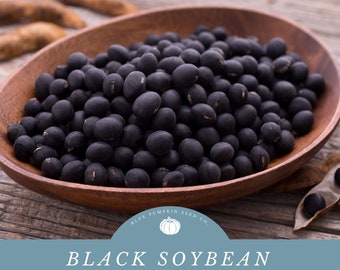 Black Soybeans (Organic or Standard) - Easy To Grow- Make Your Own Black Soy Milk Or Natto
