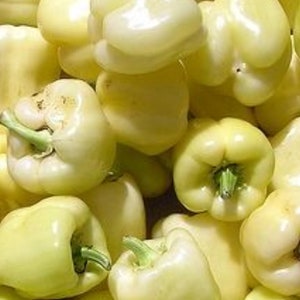 A pile of white bell peppers.
