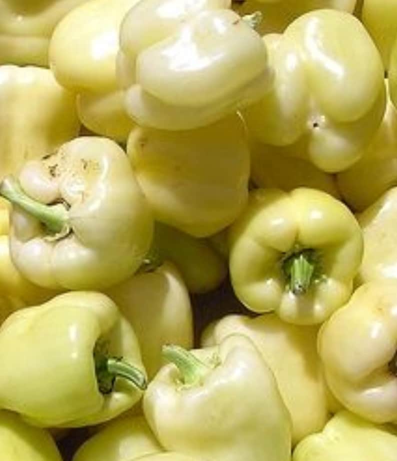 A pile of white bell peppers.