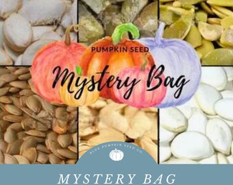 Mystery bag Pumpkin seeds: Mixed pumpkin seeds, blue doll casper, porcelain doll, jack be little, fairytale, casperita, yokohama, Halloween