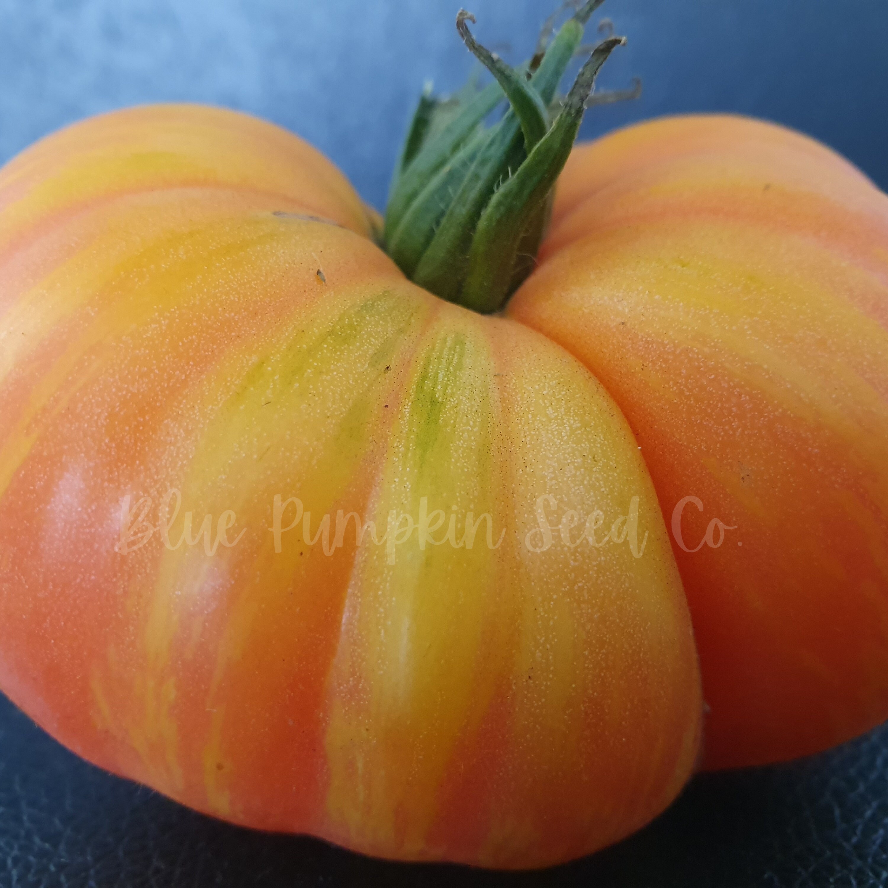 Pineapple Tomato heirloom/ Indeterminate Seeds Black Etsy