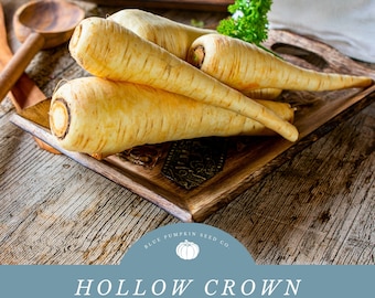 Hollow Crown Parsnip seeds: Crown Parsnip, Parsnip seeds, heirloom vegetable seeds, non gmo seeds