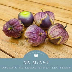 May include: Five purple tomatillos with green tops, sitting on a wooden surface. The tomatillos are arranged in a semi-circle. The text "DE MILPA ORGANIC HEIRLOOM TOMATILLO SEEDS" is at the bottom of the image.