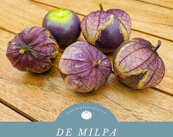 De Milpa Organic Purple Tomatillo Seeds:  Perfect for Salsa, Soups, and More - Exceptional Flavor And Versatility!