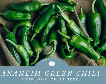 Anaheim green chili heirloom seeds: Easy To Grow And Deliciously Mild Anaheim Green Chili - Perfect for Tasty Latin Dishes