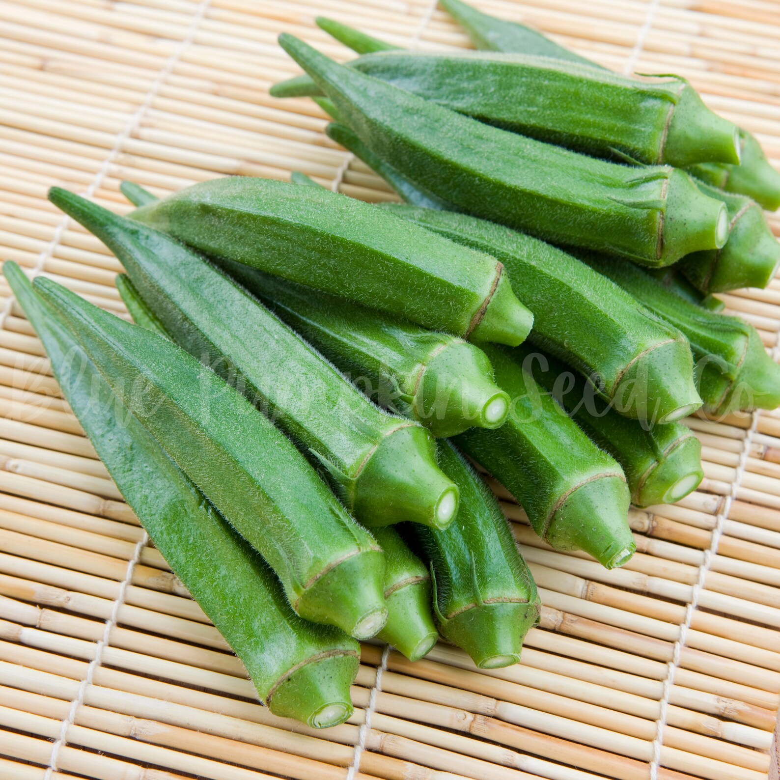 Jambalaya Okra F1 Hybrid Seeds Southern Okra, Hybrid Okra, Early