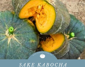 Sake F1 Hybrid Kabocha Winter Squash Seeds: Unbeatable Sweetness and Dense Texture - Culinary Delight!