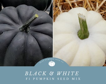 Black And White Seed Mix: Exclusive to Blue Pumpkin Seed Co - Unique Pumpkins for Halloween Decor and Fall Displays!