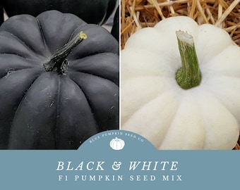 May include: Two pumpkins, one black and one white, with the text "Black & White F1 Pumpkin Seed Mix" and a logo for Blue Pumpkin Seed Co.