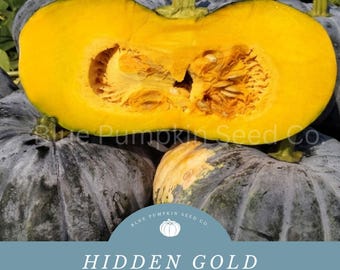 Semillas de calabaza tailandesa Hidden Gold: Cultive calabazas tailandesas de maduración rápida, ¡ideales para sopas y guisos!