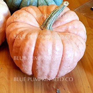 A Porcelain doll pumpkin on a wooden floor.