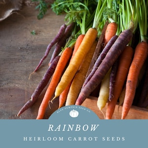 Rainbow Carrot seed blend: Colorful carrots, heirloom carrots, carrot seeds, mixed carrot seeds