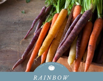 Rainbow Carrot seed blend: Colorful carrots, heirloom carrots, carrot seeds, mixed carrot seeds