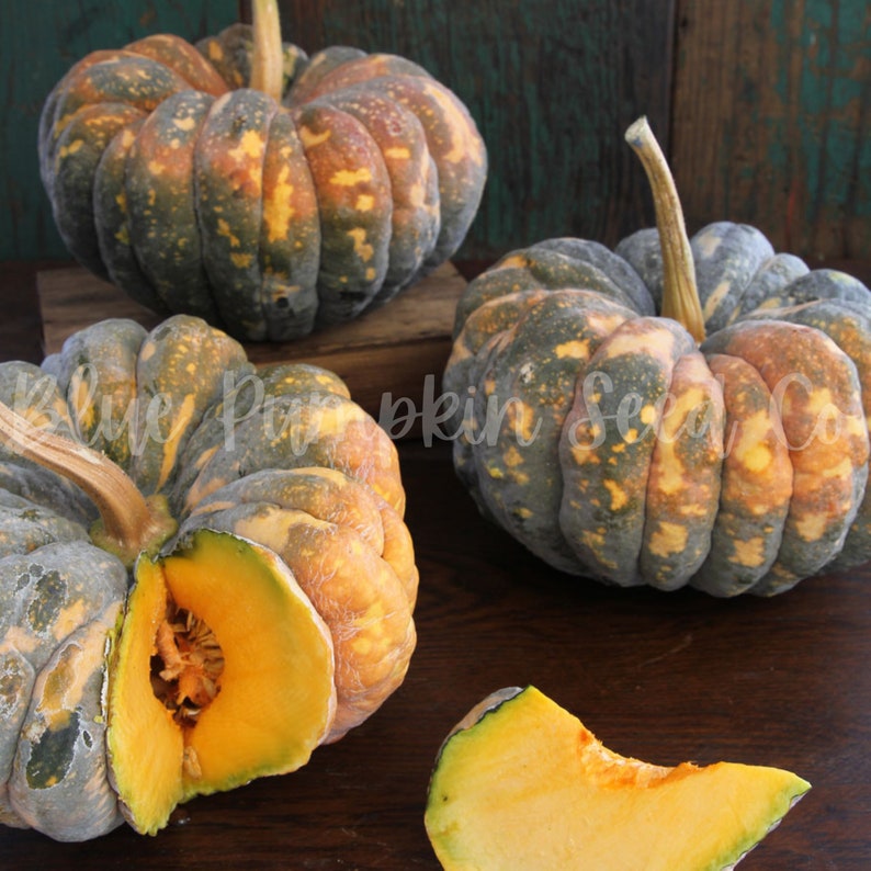 Several Chirimen pumpkins on a wooden table. One is sliced open, exposing the seed cavity inside.