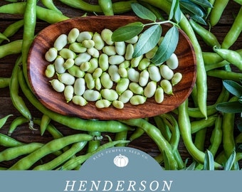 Henderson Lima Beans - An Heirloom Variety with a Rich History- Preserve Culinary History