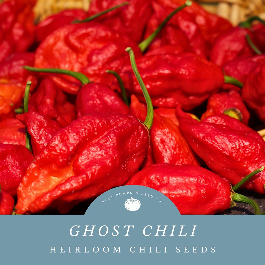 The Legendary Jolokia Ghost Chili Bests Every Spice Challenge