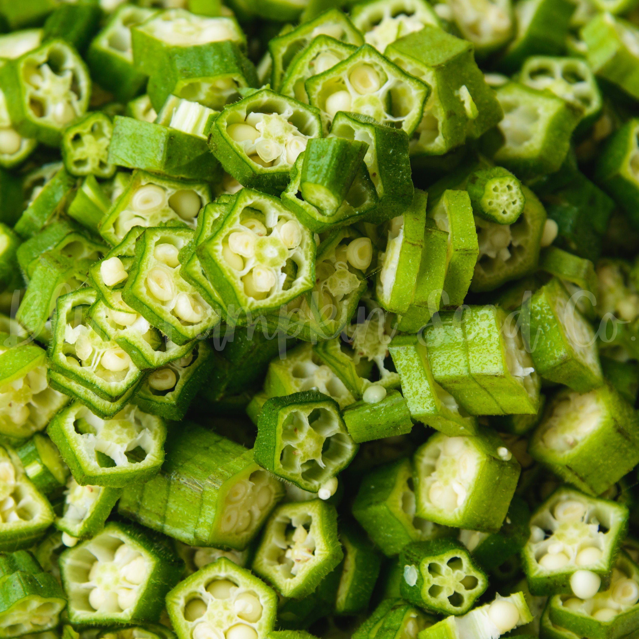 Jambalaya Okra F1 Hybrid Seeds Southern Okra Hybrid Okra Etsy