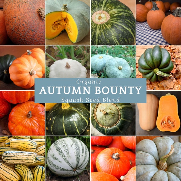 Autumn Bounty Organic Heirloom Winter Squash Seed Mix: A Diverse and Delicious Blend of Winter Squashes for Your Winter Garden!