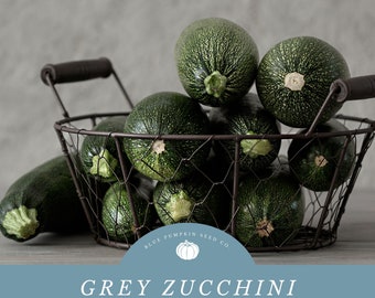 May include: A wire basket filled with grey zucchini, a type of heirloom zucchini seed. The basket is on a grey background with a blue and white logo that says "Blue Pumpkin Seed Co."