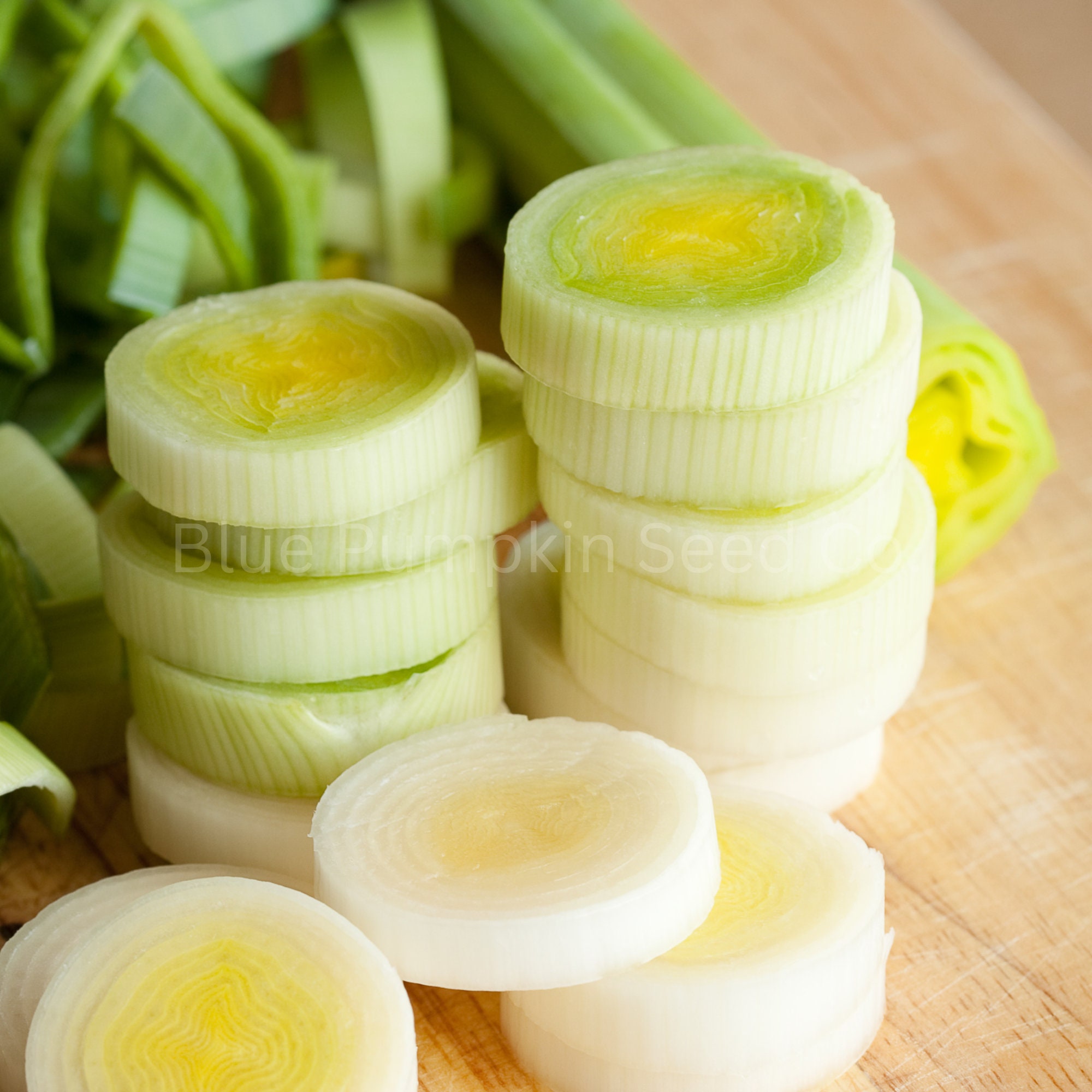 King Richard Leek (certified Organic by Mofga/heirloom) Seeds: - Etsy