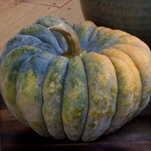 A Chirimen pumpkin on a wooden floor.