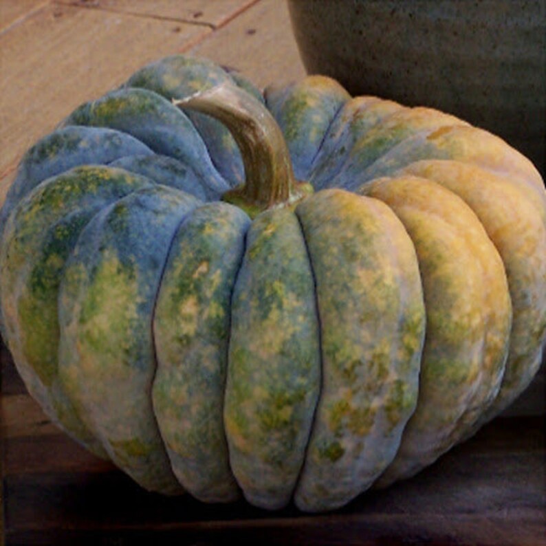 A Chirimen pumpkin on a wooden floor.