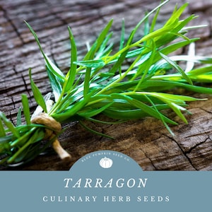 May include: Fresh green tarragon sprigs tied with twine, resting on a weathered wooden surface. The image features text that reads "Tarragon Culinary Herb Seeds" and the Blue Pumpkin Seed Co. logo.