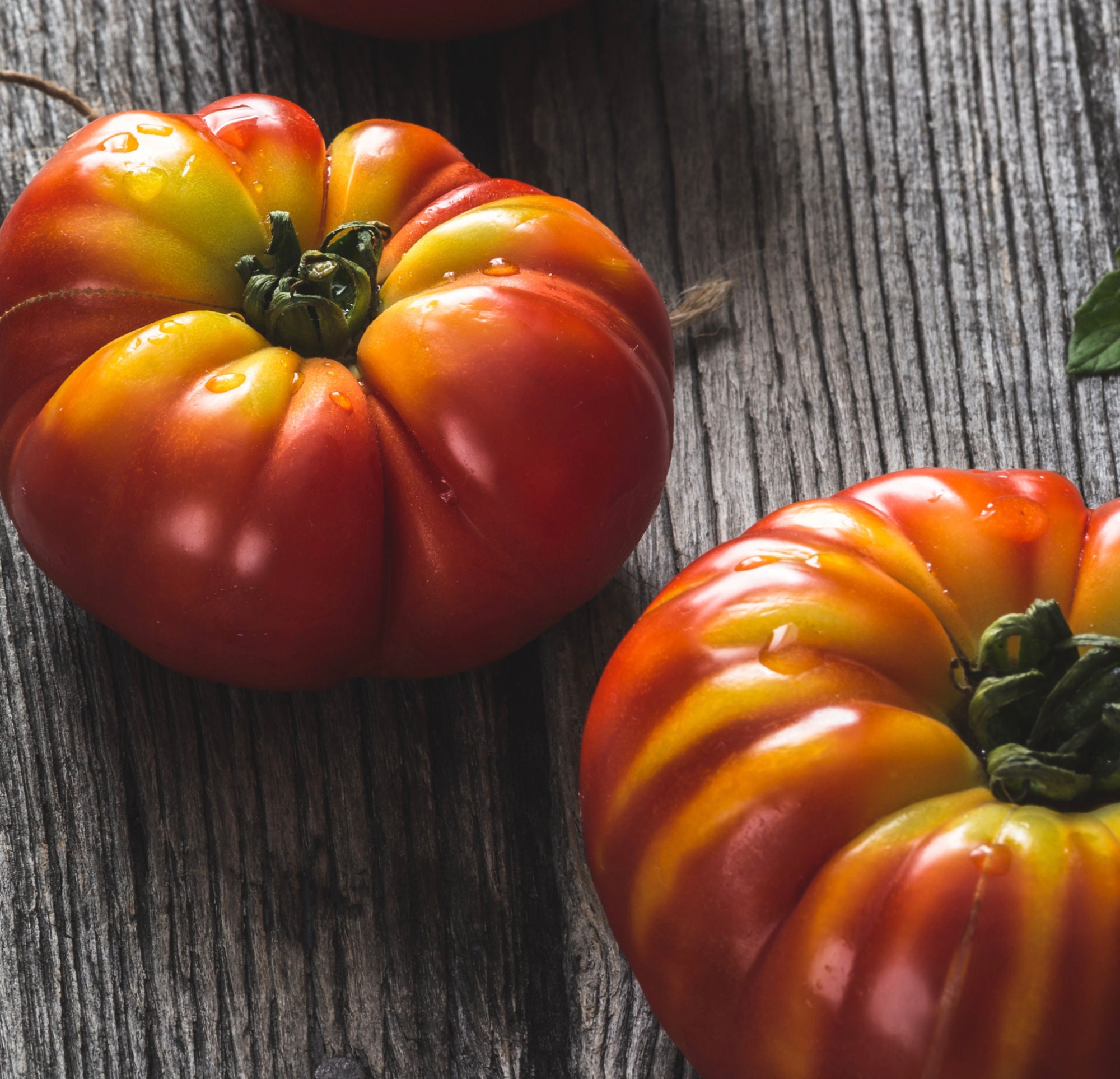 Pineapple Tomato heirloom/ Indeterminate Seeds Black Etsy