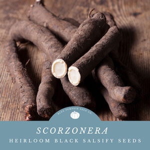 May include: Close-up of a pile of black salsify roots, also known as scorzonera, with a white interior. The roots are arranged on a wooden surface. The image includes the text "Scorzonera Heirloom Black Salsify Seeds" and a logo for Blue Pumpkin Seed Co.