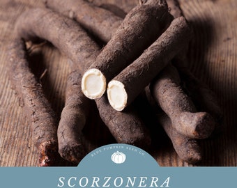 Scorzonera Black Root Salsify Seeds (organic) - A Versatile Ingredient for Adventurous Cooks-Sleek and Flavorful