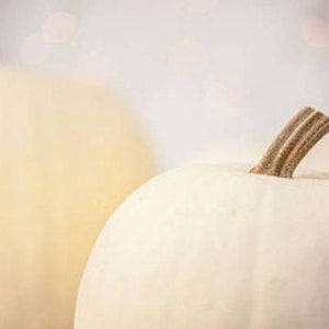 A close look at a Casper pumpkin.